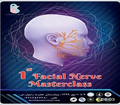 The First Interdisciplinary Facial Nerve Masterclass